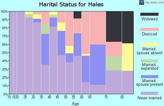 Zip code 08102 marital status for males