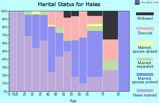 Zip code 08104 marital status for males