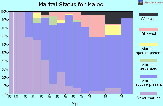 Zip code 08106 marital status for males