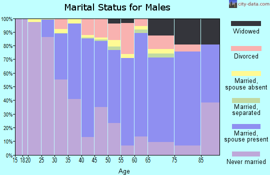 Zip code 08107 marital status for males