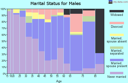 Zip code 08110 marital status for males