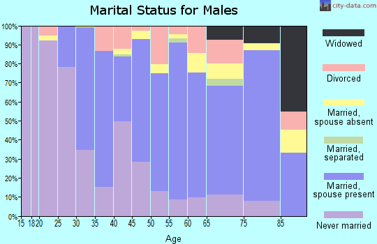 Zip code 08201 marital status for males