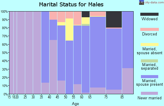 Zip code 08202 marital status for males