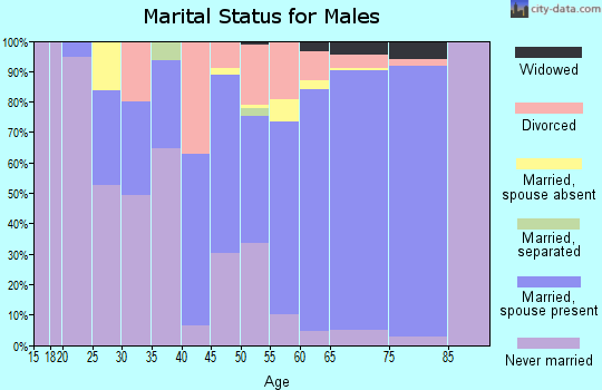 Zip code 08203 marital status for males