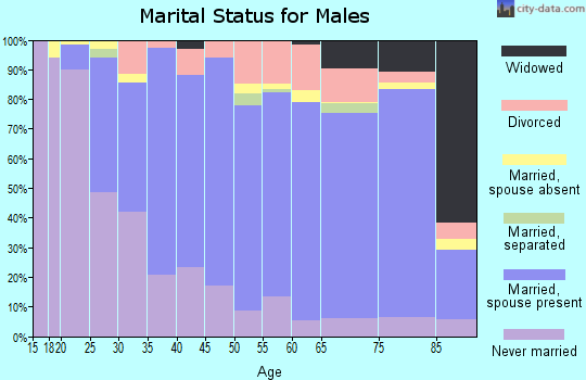 Zip code 08204 marital status for males