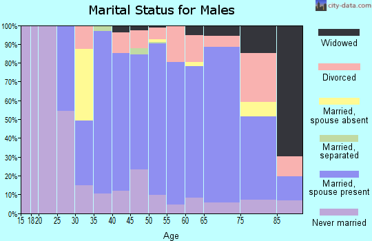 Zip code 08221 marital status for males