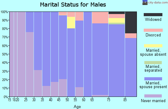 Zip code 08230 marital status for males