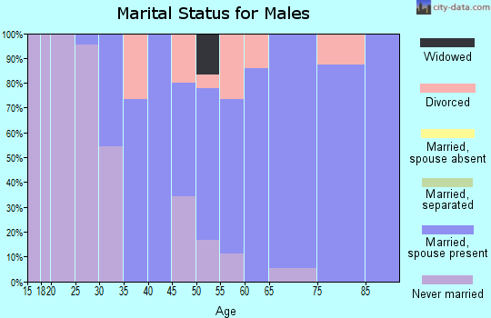 Zip code 08241 marital status for males