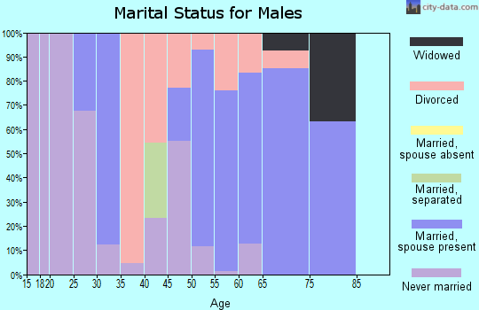 Zip code 08242 marital status for males