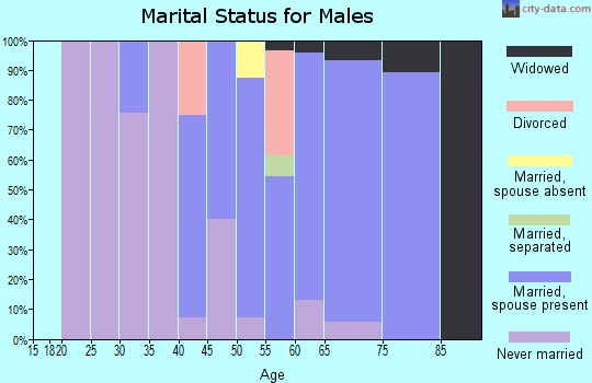 Zip code 08243 marital status for males