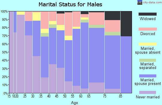 Zip code 08244 marital status for males