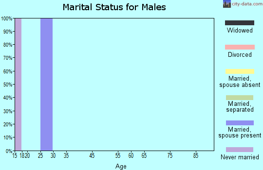 Zip code 08245 marital status for males