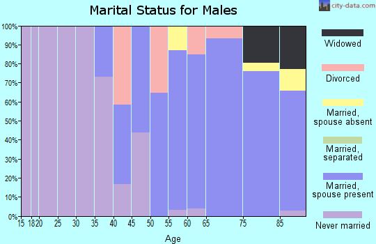 Zip code 08247 marital status for males