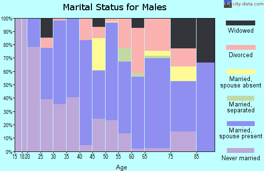 Zip code 08251 marital status for males