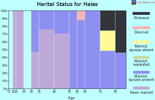 Zip code 08252 marital status for males