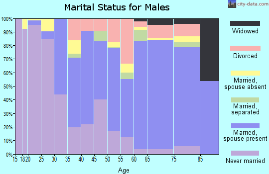 Zip code 08260 marital status for males