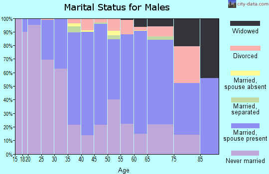 Zip code 08270 marital status for males