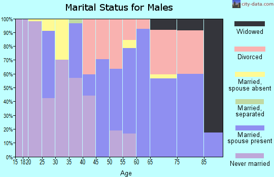Zip code 08310 marital status for males