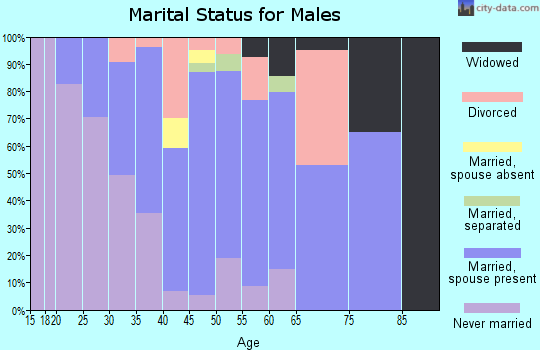 Zip code 08312 marital status for males