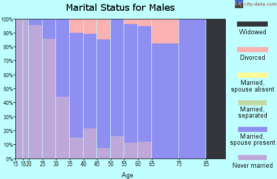 Zip code 08319 marital status for males