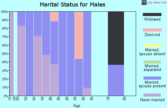 Zip code 08326 marital status for males