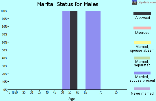 Zip code 08329 marital status for males