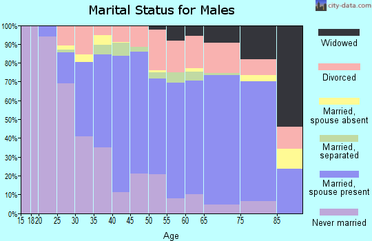 Zip code 08332 marital status for males
