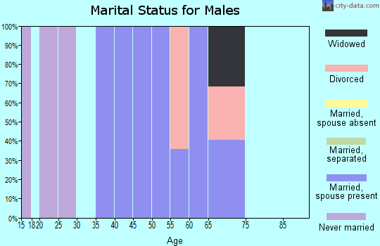 Zip code 08340 marital status for males