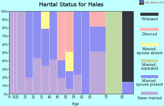 Zip code 08341 marital status for males