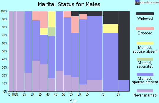 Zip code 08343 marital status for males