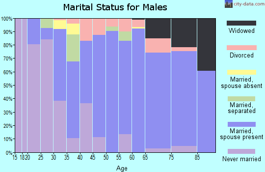 Zip code 08344 marital status for males