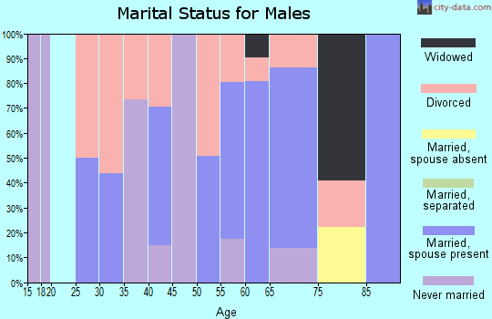Zip code 08345 marital status for males
