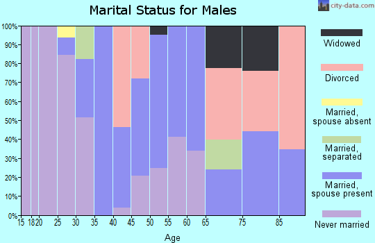 Zip code 08349 marital status for males