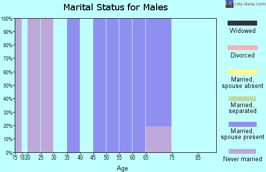 Zip code 08350 marital status for males