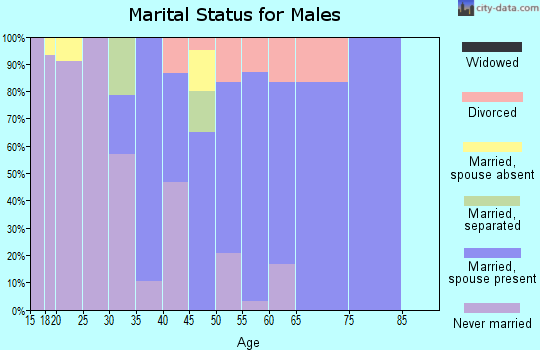 Zip code 08353 marital status for males