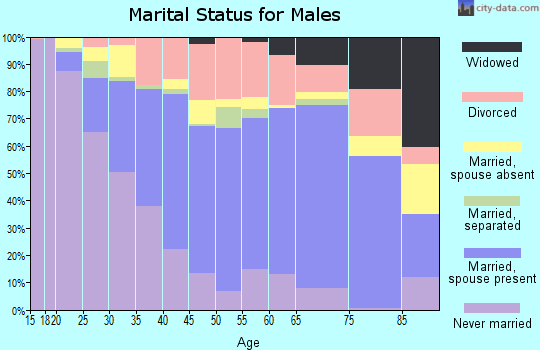 Zip code 08360 marital status for males
