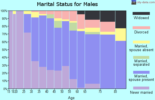 Zip code 08361 marital status for males