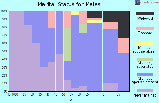 Zip code 08403 marital status for males