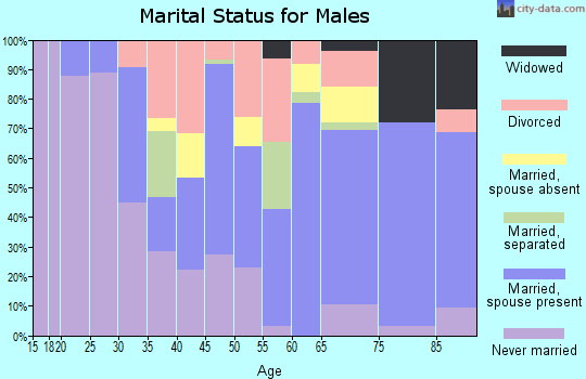 Zip code 08406 marital status for males
