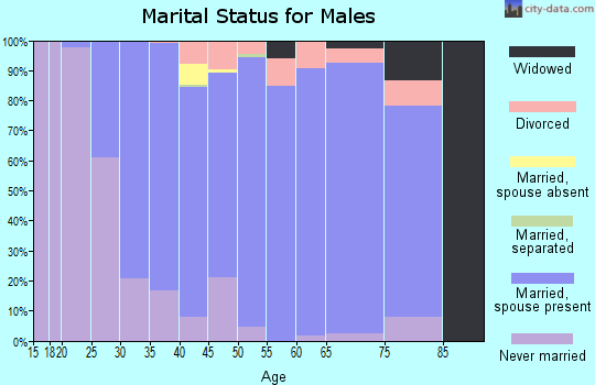 Zip code 08501 marital status for males