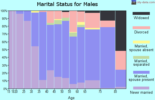 Zip code 08505 marital status for males