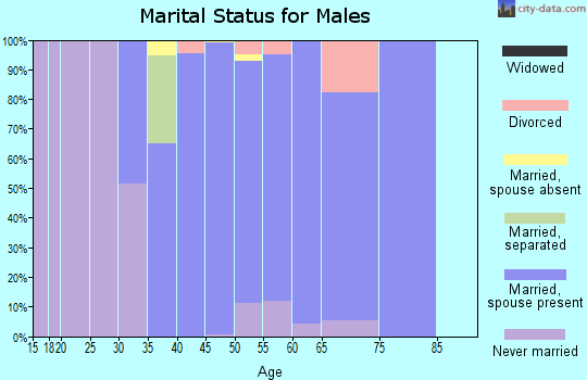Zip code 08510 marital status for males