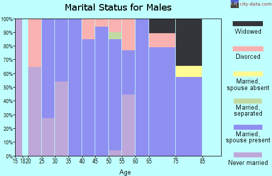 Zip code 08514 marital status for males