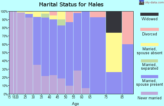 Zip code 08515 marital status for males