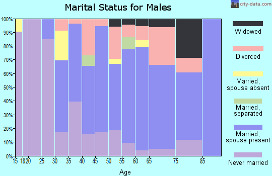 Zip code 08518 marital status for males