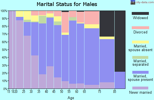Zip code 08520 marital status for males