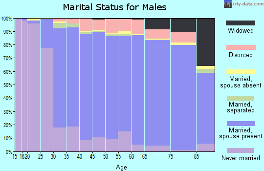 Zip code 08527 marital status for males
