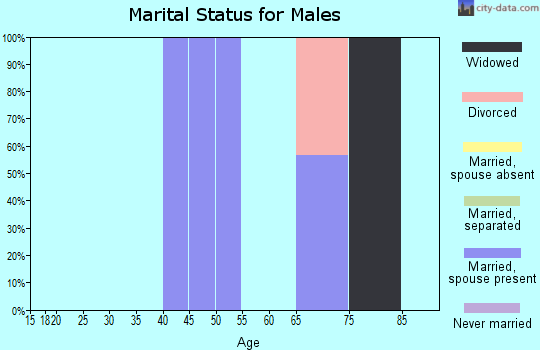 Zip code 08528 marital status for males