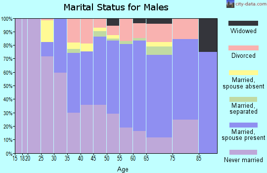 Zip code 08530 marital status for males