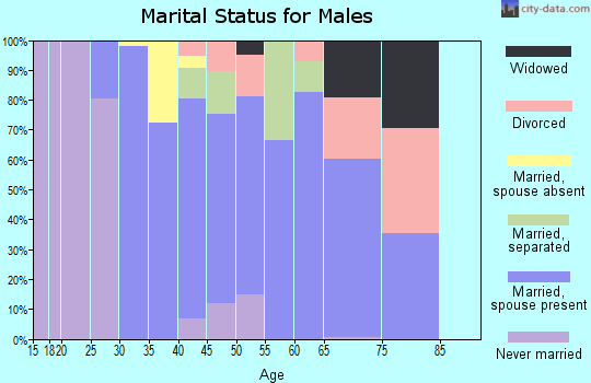 Zip code 08533 marital status for males